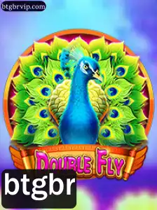 Explorando o Mundo de DoubleFly: Regras e Estratégias